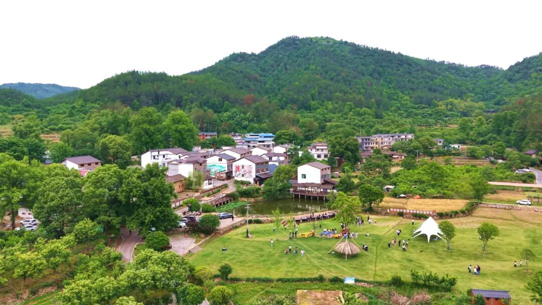 国际留学生走进三里畈镇：开展文化交流 共筑友谊桥梁