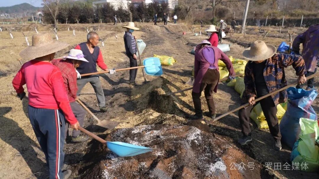 白庙河镇牌形铺村：“林下套种”实践 解锁增收“密码”