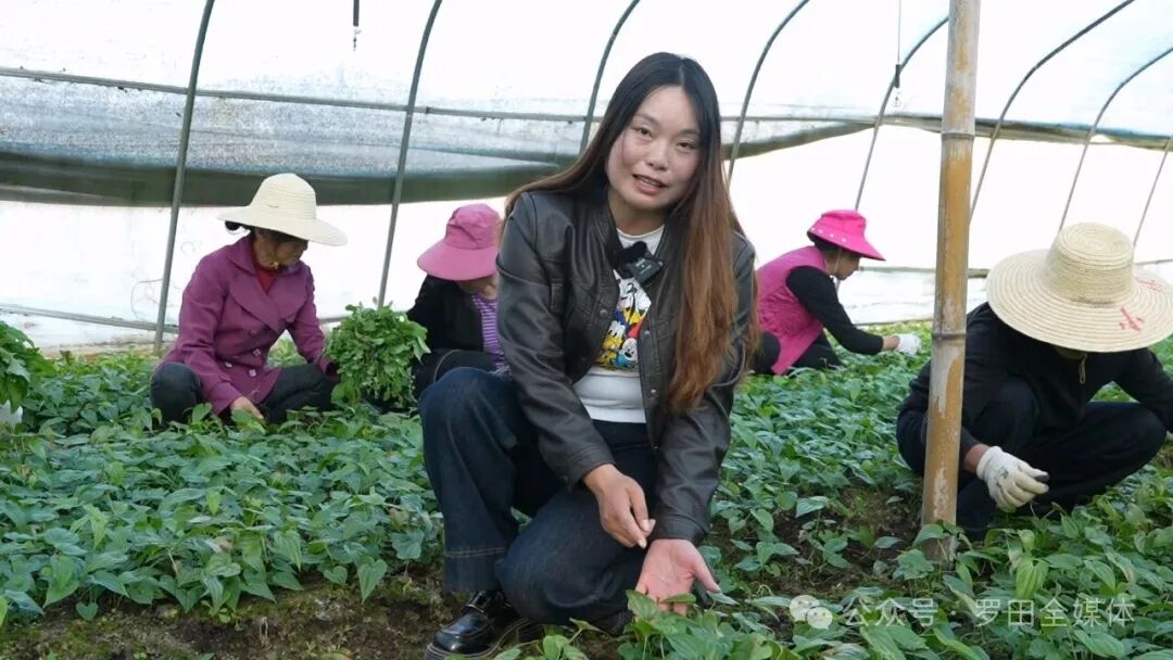 凤山镇大塘塆村：筑巢引凤兴产业 联农带农促增收