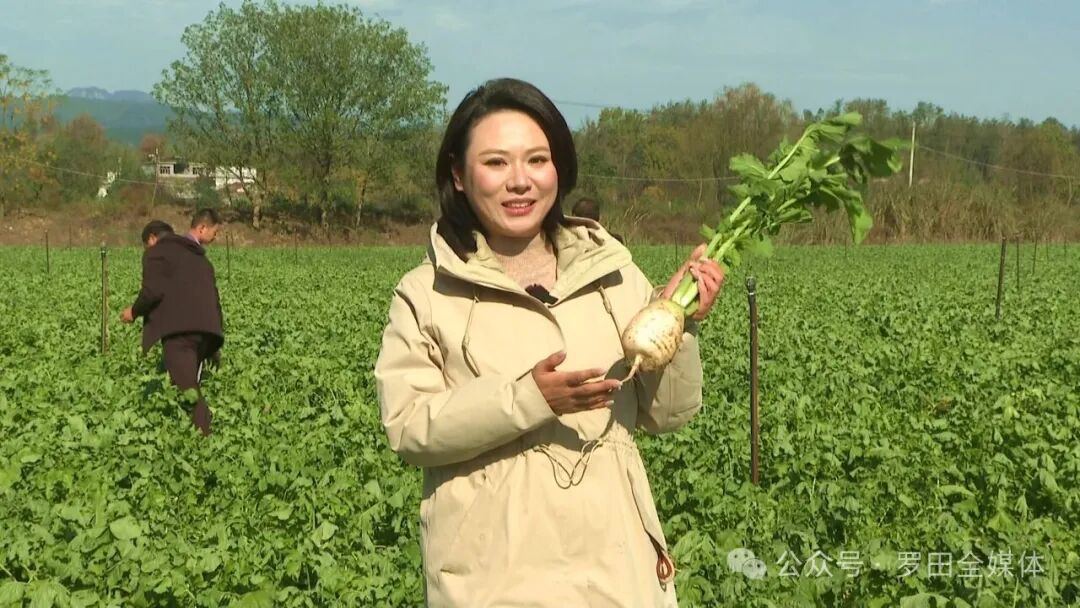 深入学习贯彻党的二十届四中全会精神