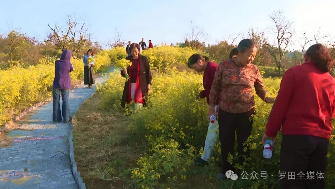 平湖乡苏家山村：发展药旅融合 助力乡村振兴