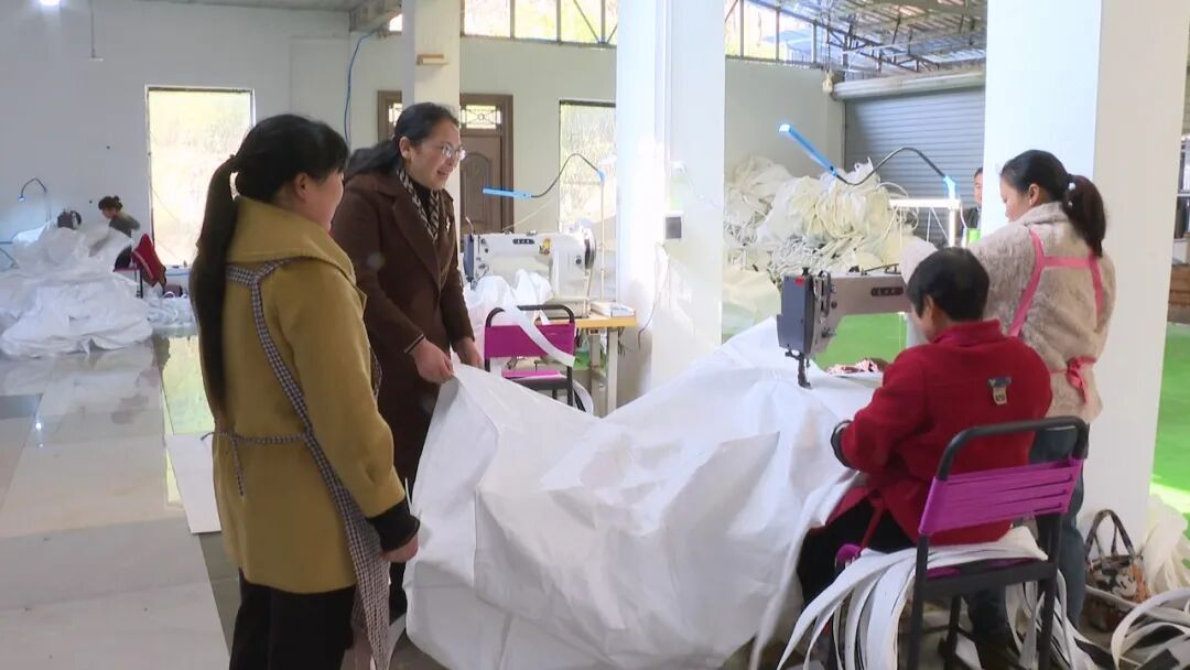晏琼：用心用情用力 为妇女儿童谋福祉