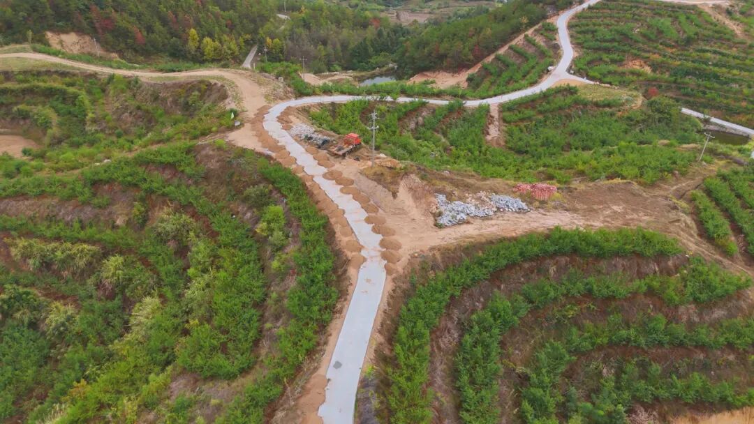 王月兴：从开矿到开荒的“新农人”