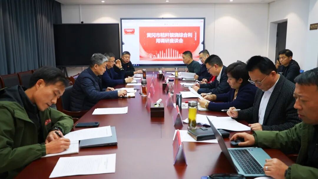 荣先国到罗田县调研秸秆综合利用、饰面用花岗岩矿设置采矿权工作