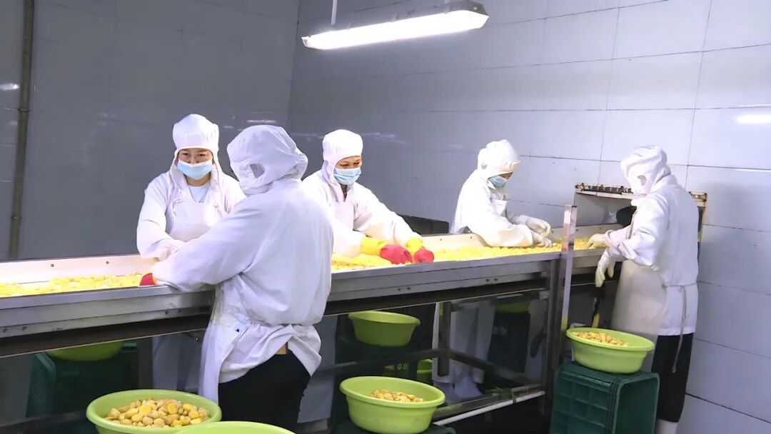 全县工业经济拼出今年首季“亮眼成绩单”