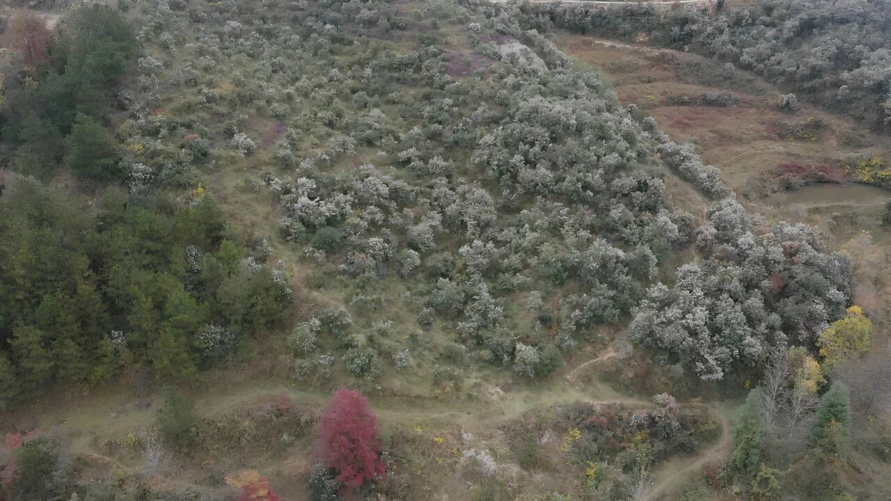 深入学习贯彻党的二十届四中全会精神