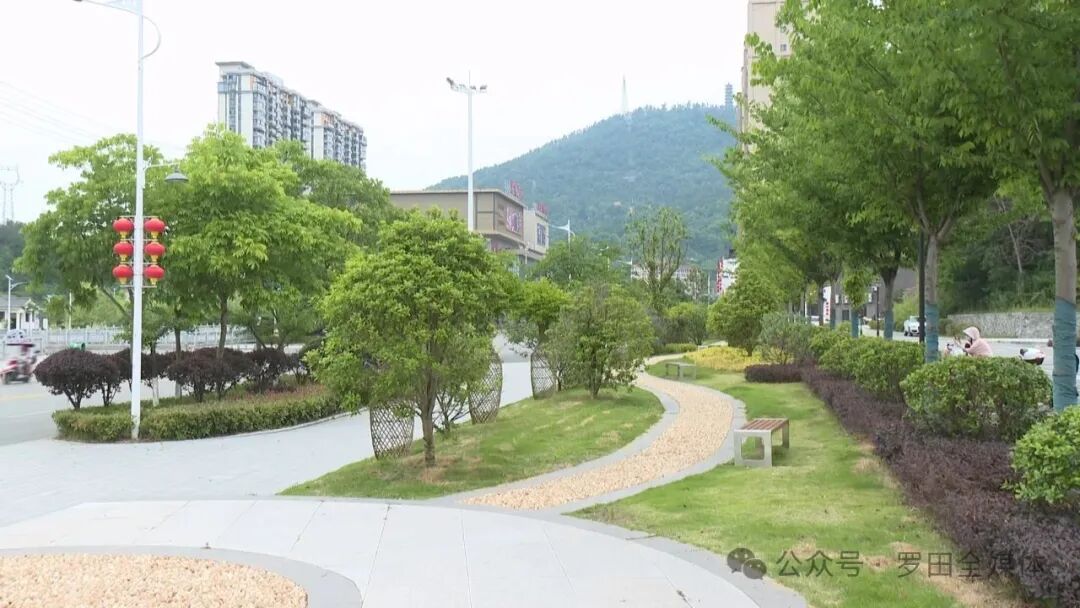 凤山镇：“软硬兼施” 绘浓社区居民生活幸福底色