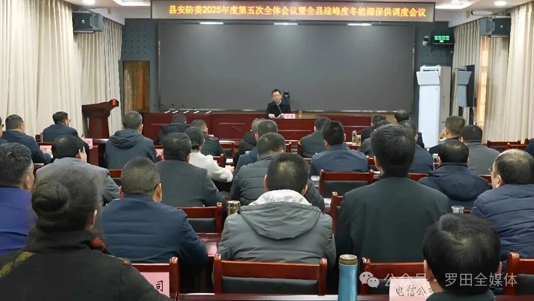 罗田县收听收看市安防委2025年度第四次全体会议暨全市迎峰度冬能源保供调度会议