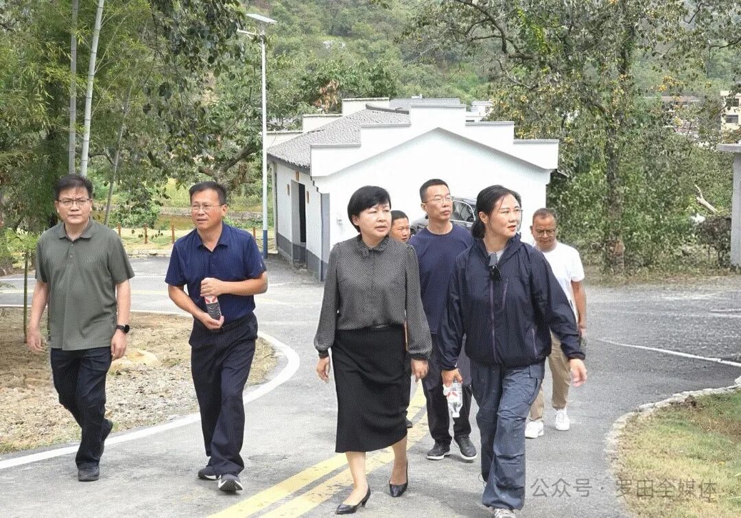 郝爱芳到三里畈镇錾字石柿里牧歌调研旅游产业发展工作