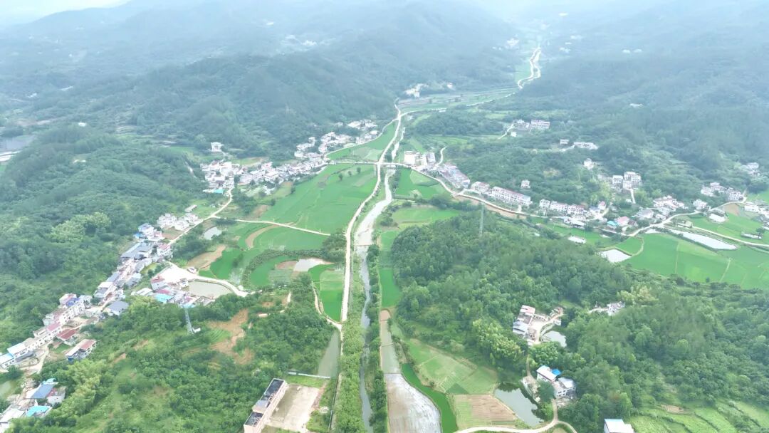 大河岸镇：农旅融合激活生态优势 绿色发展绘就振兴画卷