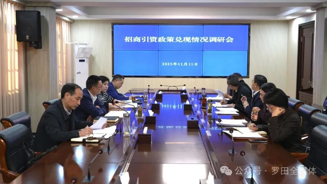  罗田县举行招商引资政策兑现情况调研会 