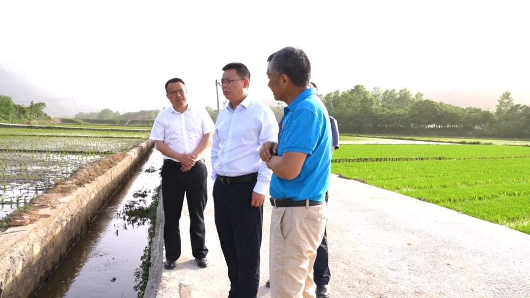 周黎到河铺镇调研产业发展 医疗卫生 学校食堂及“三资”管理工作