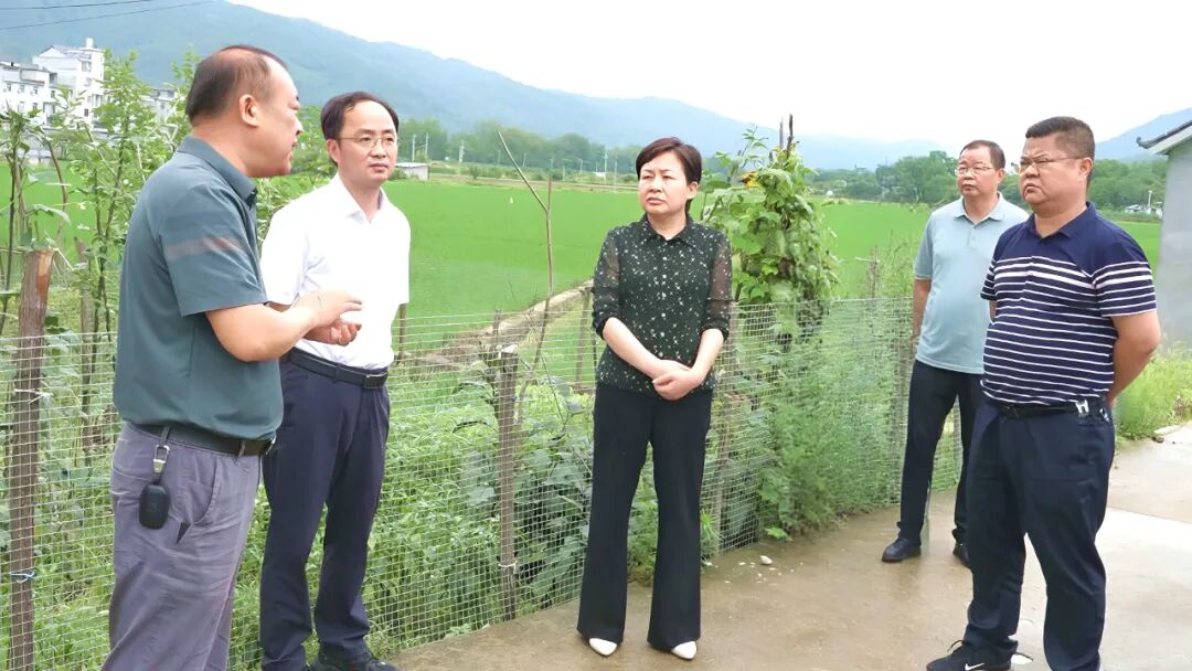 郝爱芳到大河岸镇调研农村人居环境整治工作