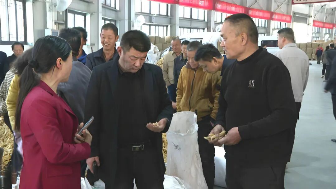 大别山道地药材产业园2025年首个交易日火爆开市 交易额突破1500万元