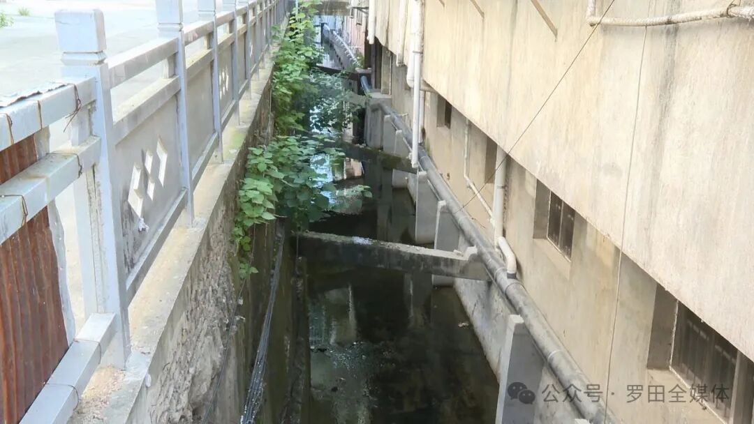 大崎镇： 以“民生小事”托举群众“幸福大提升”