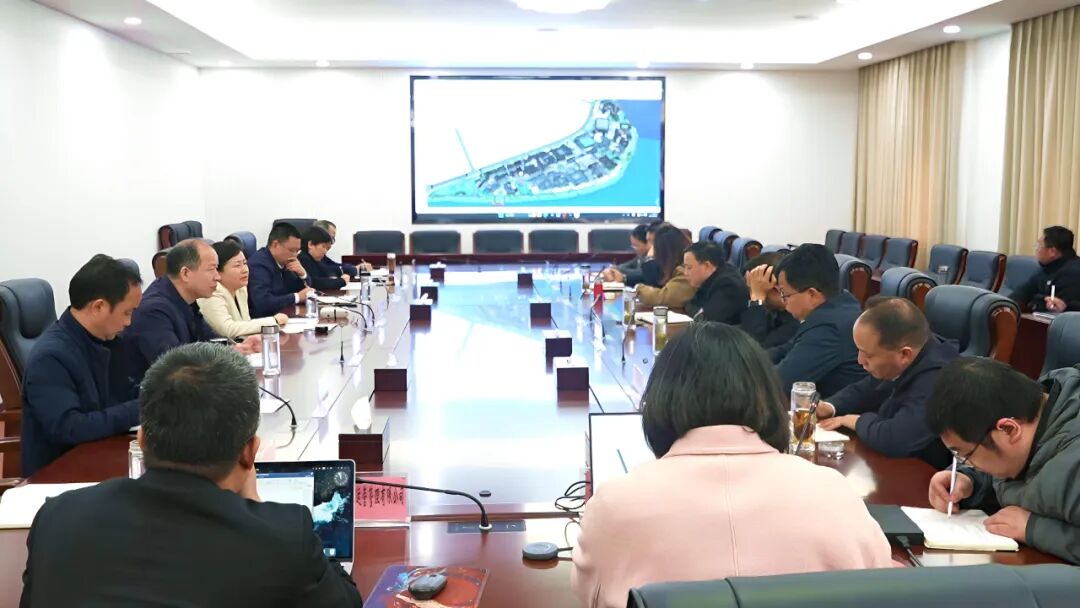 郝爱芳主持召开义水半岛城市更新 多情义水夜游 欢乐罗田项目规划汇报会