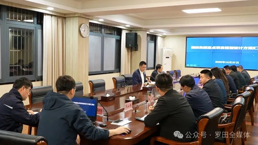 罗田县召开国投集团重点项目规划设计方案汇报会