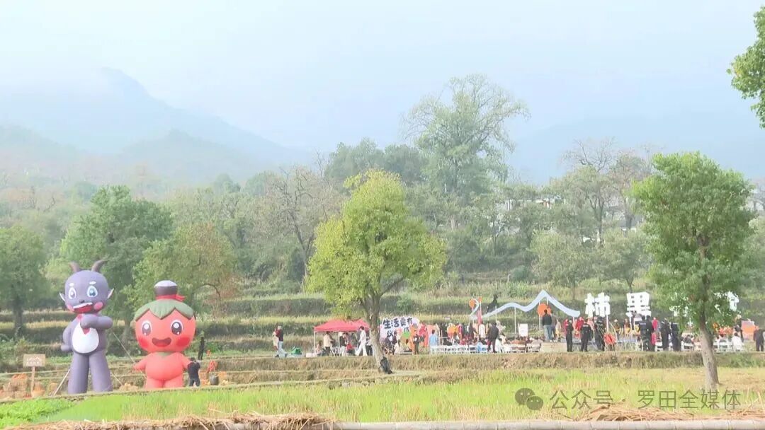 打造特色文旅IP 讲好“甜柿”新故事