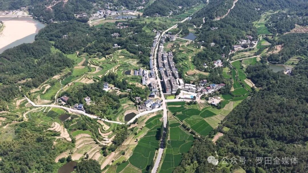 平湖乡：深耕“三乡”建设支点 书写乡村振兴平湖篇章