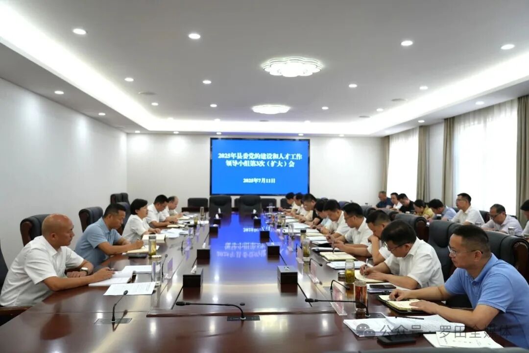 罗田县委党的建设和人才工作领导小组举行2025年第3次（扩大）会议