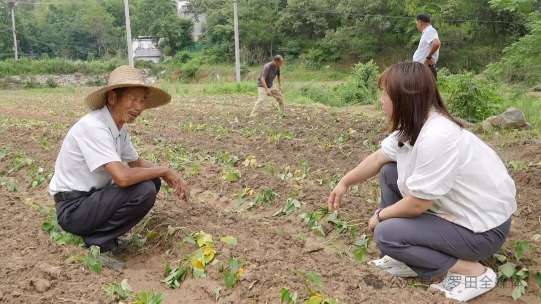 方巧玲：巾帼支书勇担当 绘就乡村振兴新画卷
