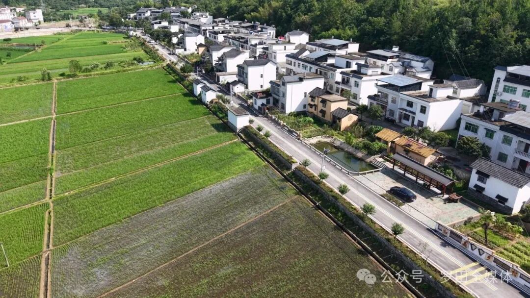 刘迁移：用初心践行使命  激活李家楼村发展动能