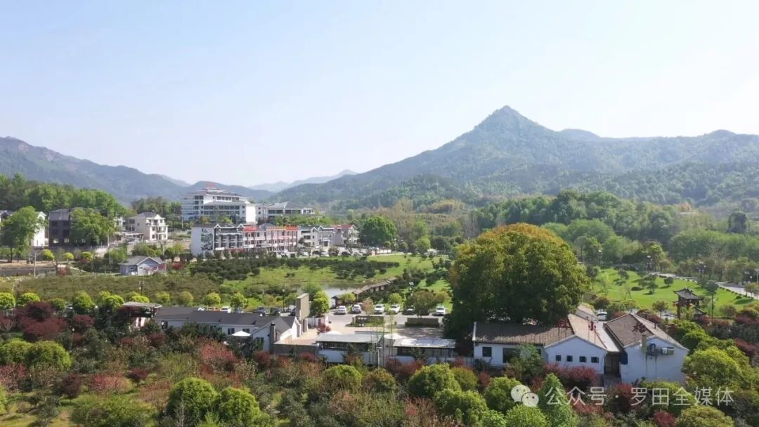 骆驼坳镇燕窝塆村：基层党组织引领绘就乡村振兴富春山居图