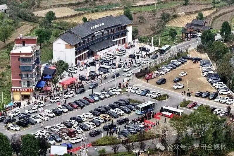 第十五届湖北罗田甜柿季活动举行