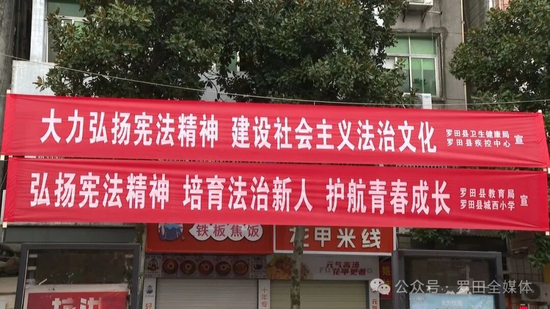 罗田县开展2025年“宪法宣传周”活动