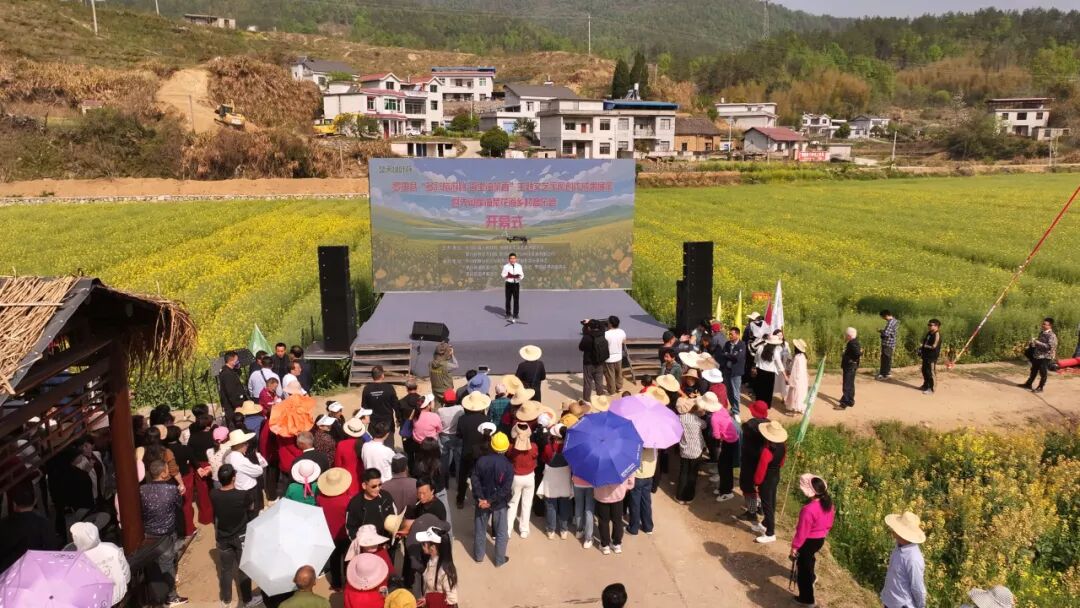 罗田绿叶公司：七彩油菜花海绘就春日盛景