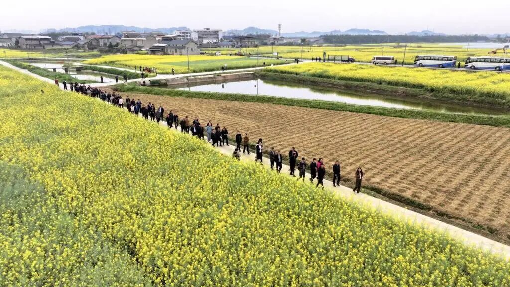 6256da0a1d569b58e16c93d5fe77ace3_720