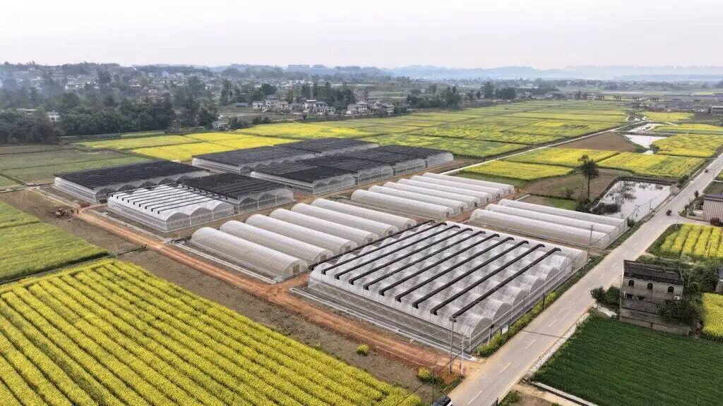 f4173148568e1831817dbbac0486dbde_720