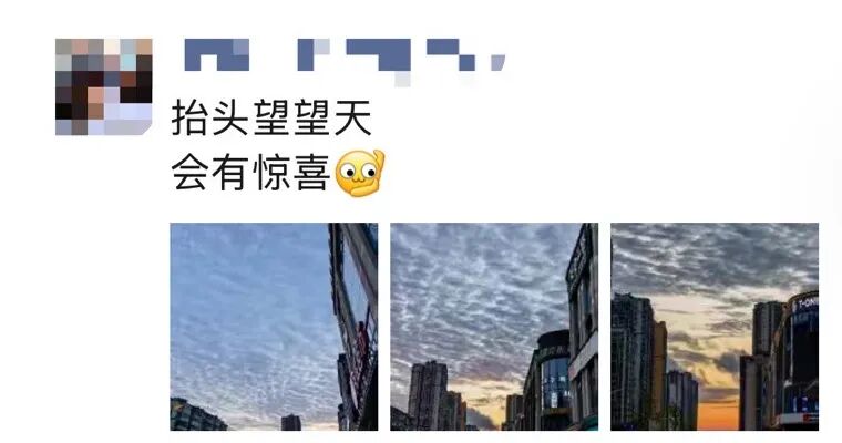 微信图片_20260920202604_1197_100.jpg