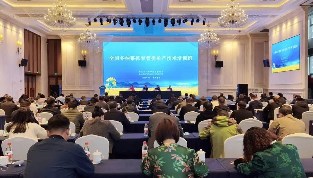 1c10bd9f57ce2d563d69c3c417871b7e_720