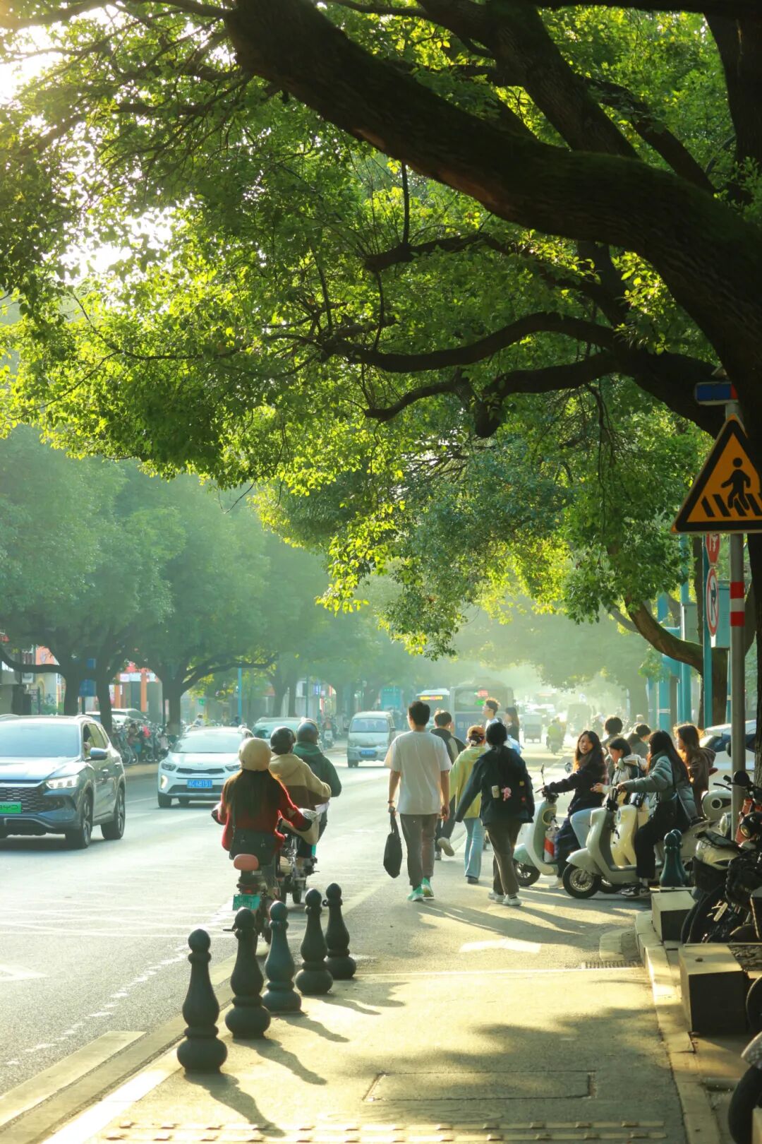 任雨婷秋景 (188).jpg