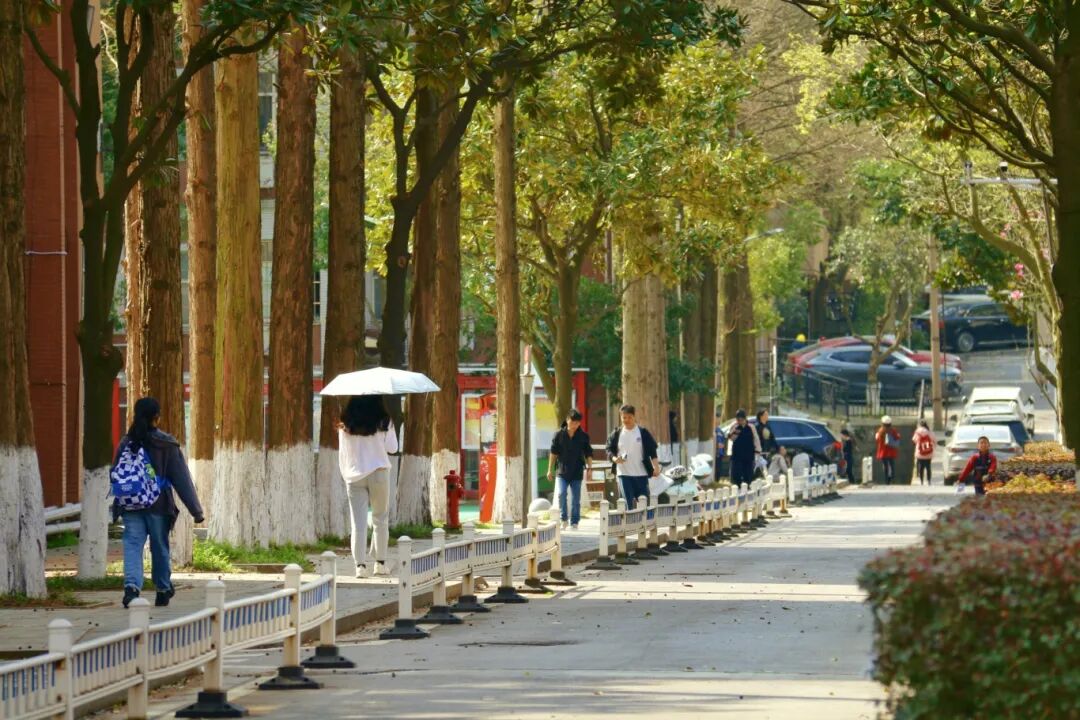 牛虹力 木兰楼2.jpg