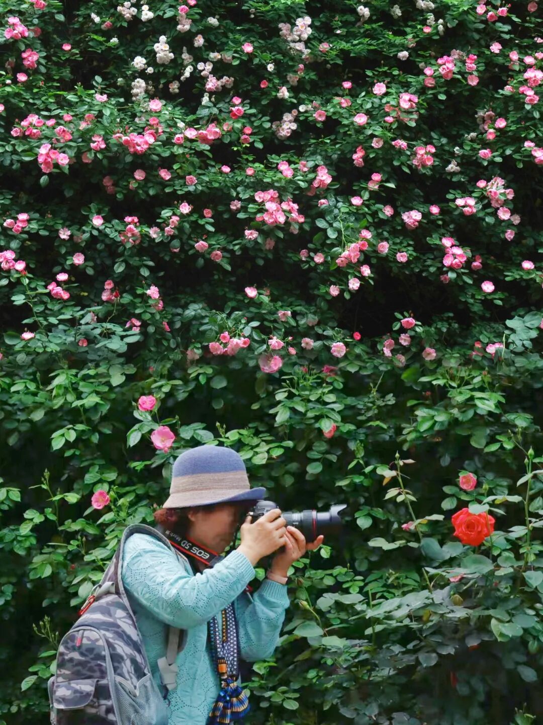 花墙 刘晴 管小倩.jpg