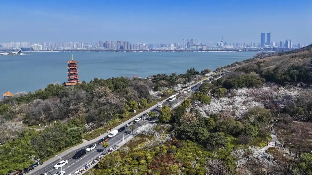 微信图片_2026-05-11_094319_991.jpg
