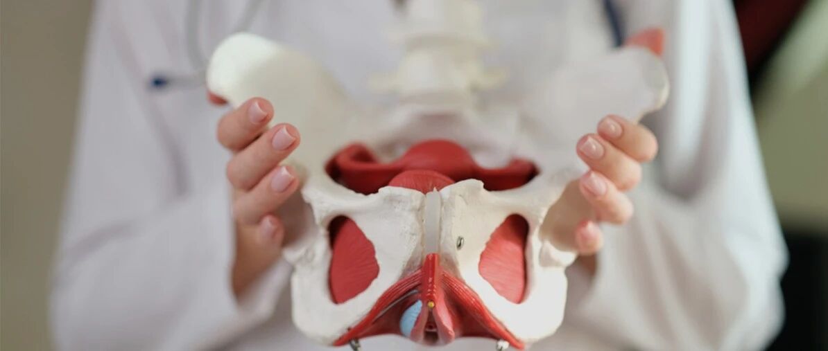 cover_image