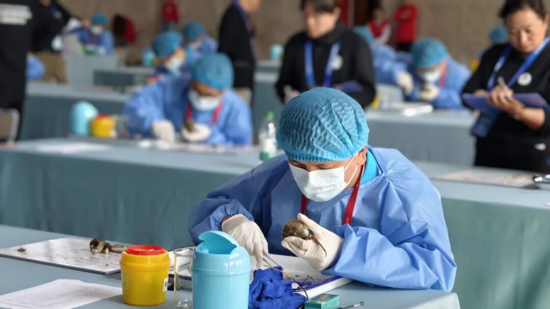 全國決賽圓滿結束，雙螺旋基因亮相央視財經頻道！