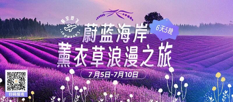 荷兰“数字欧元”时代要来了？你可能无法想象它的样子…