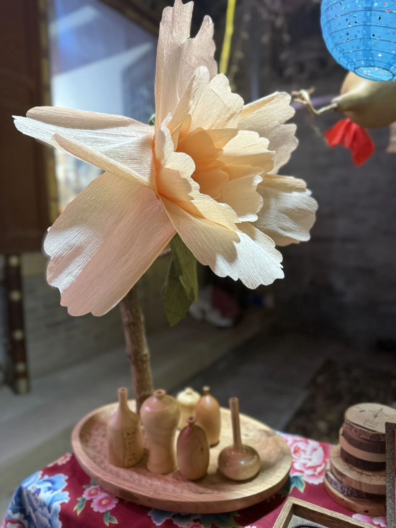 老董爱分享.