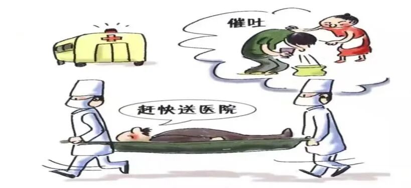 芋头务必煮熟再食用，未熟可能引发中毒，影响健康，美味需安全前提保障。