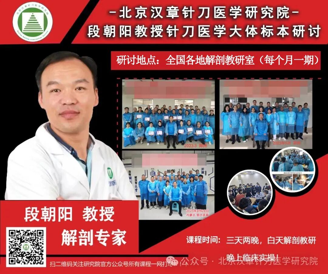 神经丛刺激针是什么各种麻醉神阻法详解！推荐收藏！_https://www.jmylbn.com_新闻资讯_第18张