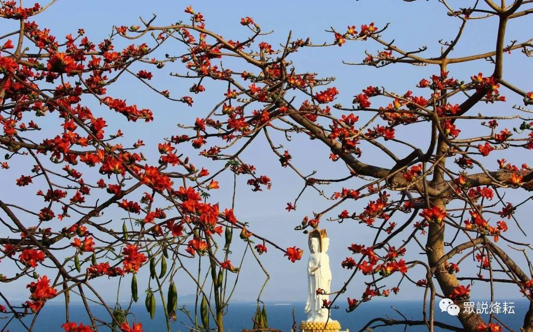 三亚景点推荐旅游景点排名_三亚旅游攻略必去景点推荐_三亚景点攻略旅游推荐去哪里/