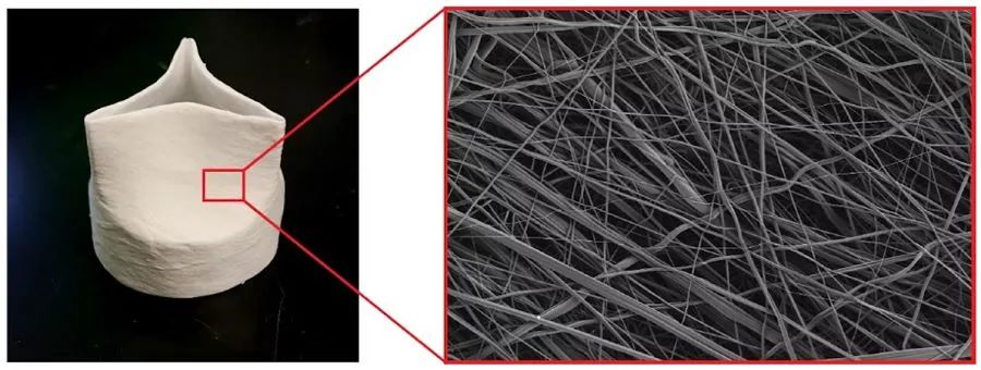 哈佛大学3D打印合成心脏瓣膜，可伴随儿童一起生长，减少手术次数的图4