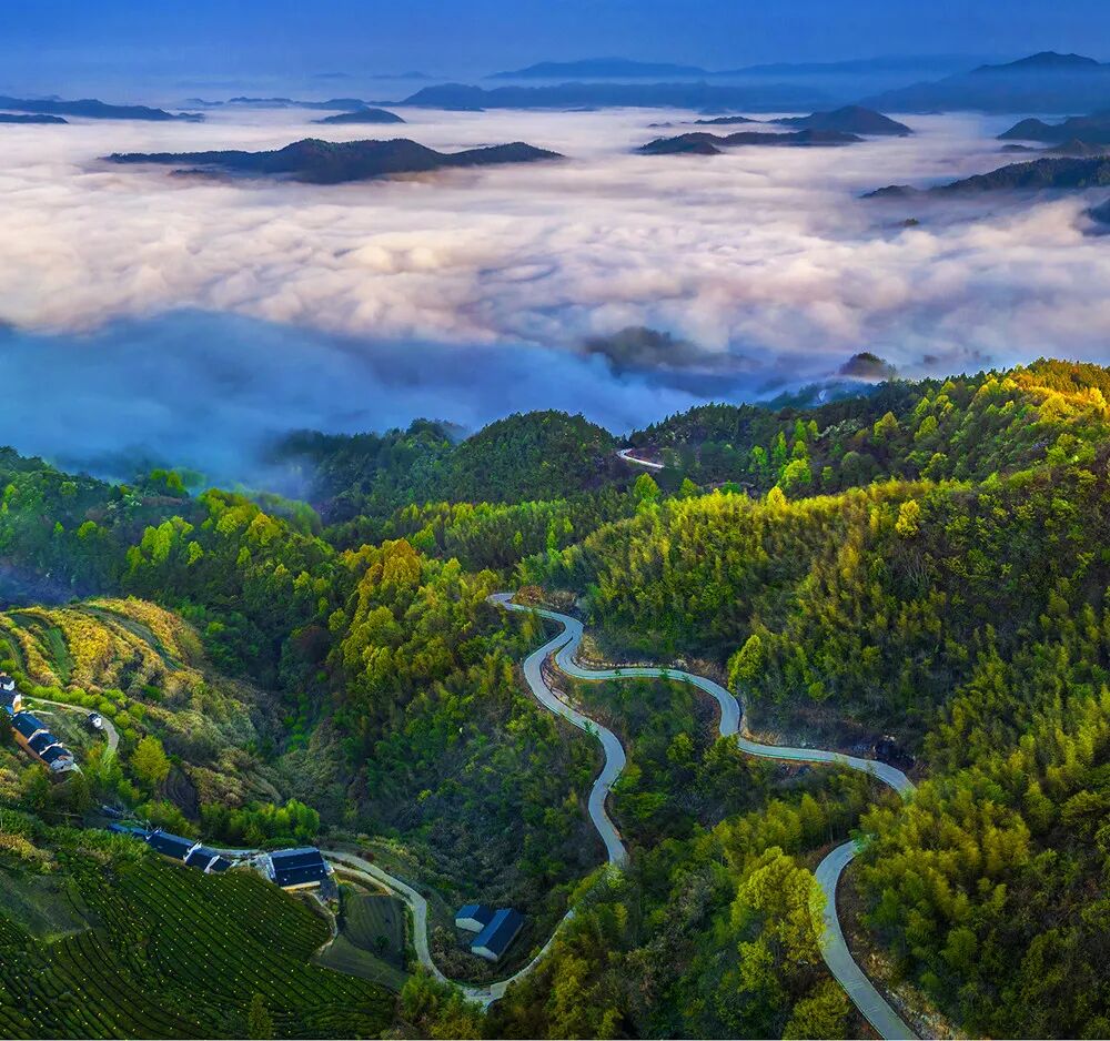 李胜利 ▲图片类三等奖《五桥雄姿》  任印清 ▲《大地彩绘(组图)