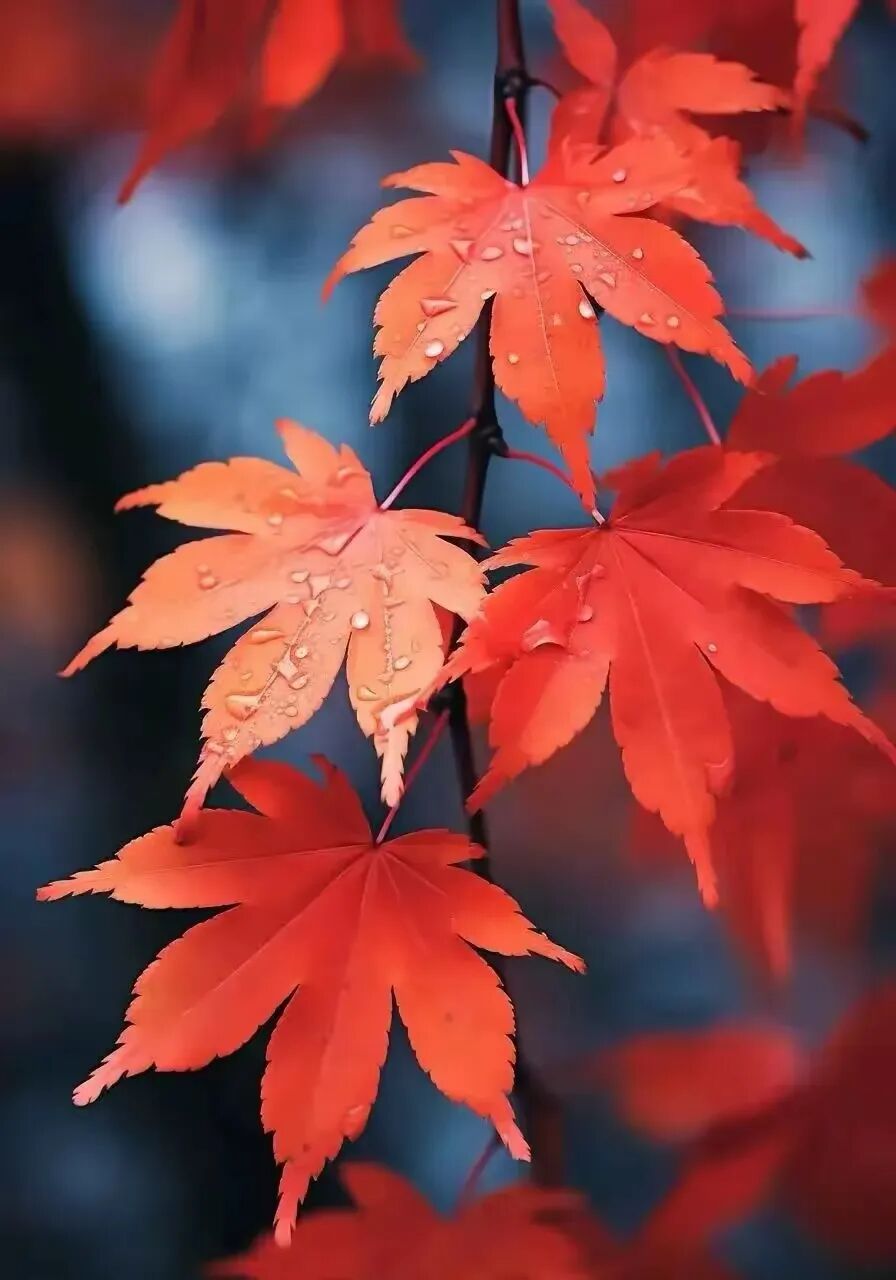 九月又去，十月又来。时光不老，我们不散