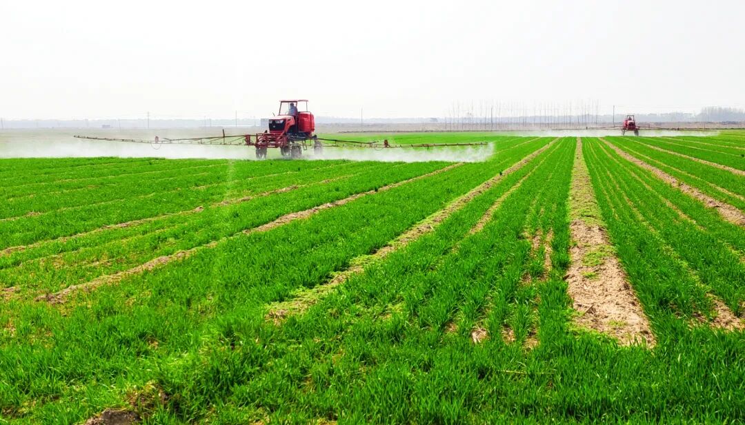 新华全媒+|“春忙”变“春闲” 还挣“两份钱”——山东章丘黄河滩区迁建村春耕“新鲜事”__财经头条