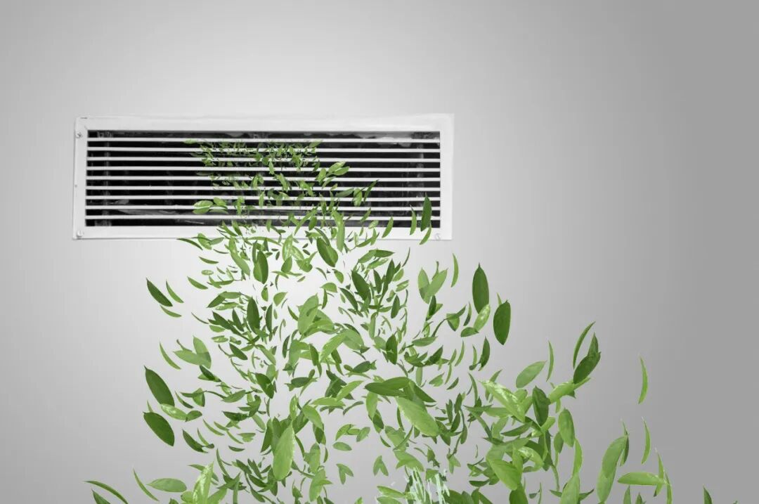 城央精装豪宅崛起引领世界级潮流生活权志龙引领哪些潮流